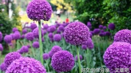 人到中年，好好生活