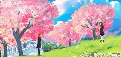 百味人生：中年妇女