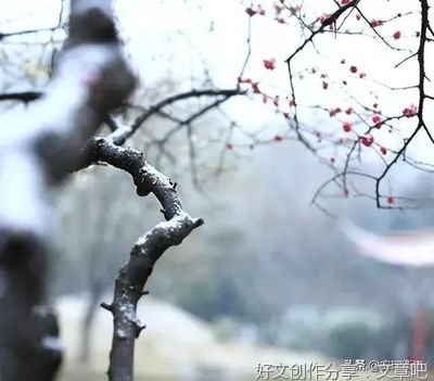 千帆过尽，始终你好