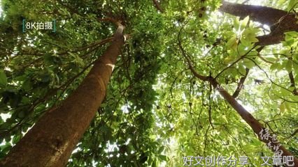 命悬一线