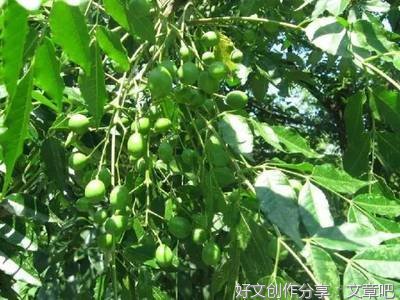 温柔的人在哪里，都能造出一个春天