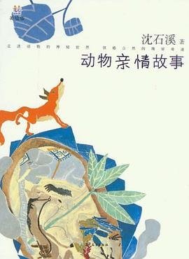 亲情故事：老实人