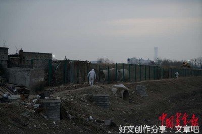中国「最」懂火山的人，告诉我们汤加到底经历了什么？
