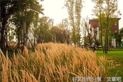 春天，愿您安好，我无恙