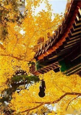 第一个： 01. 不与私欲太重的人合作，因为他们看不见别人的付出，