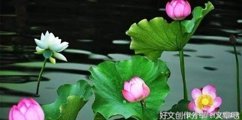 岁月离离，又一春