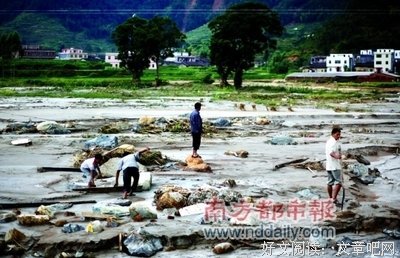 留乡与外出务工，留垌村村民的态度