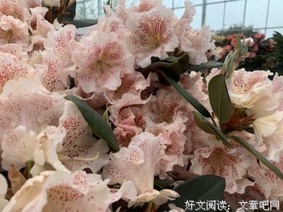 不与平凡为敌，不与平庸为伍