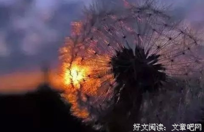 这才是教育的最高境界，看完深受震撼！