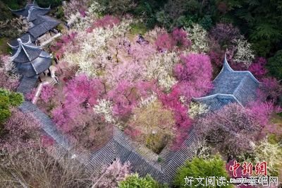 生活变好，从张嘴不伤人开始