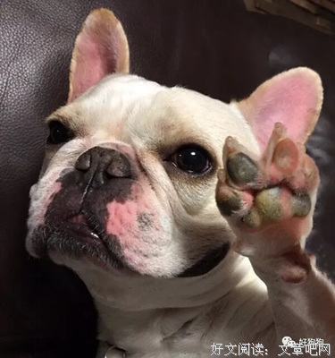 夜晚，独自在家