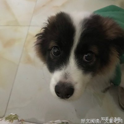 暗恋三年，心痛到不能呼吸