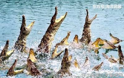 人究竟为什么活着？
