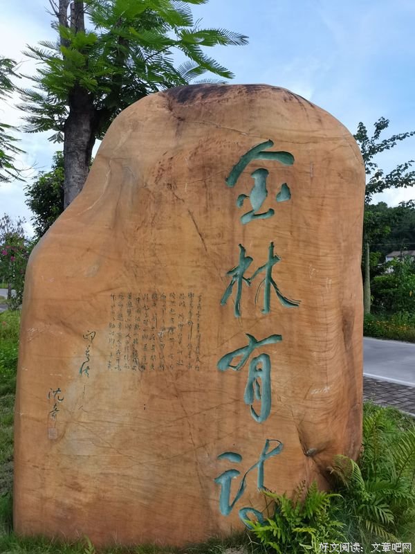 金林初赏