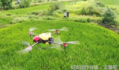 走近火龙果，体验风土人情