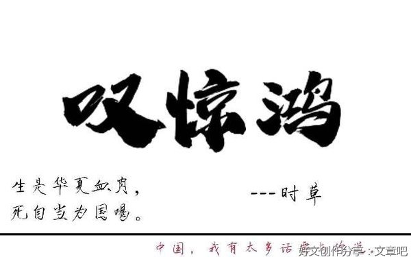 收官硇洲行，惊鸿仍在路上