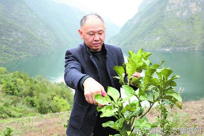 柚园千里来相会━薪火·启航社会实践队