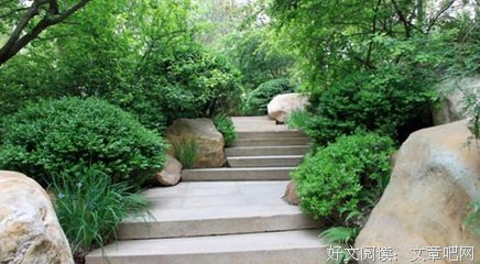 景在村中、村融景中之高州市长坡镇玉蕴田村━━薪火·启航社会实
