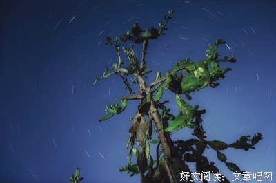 点点萤火，筑教育梦