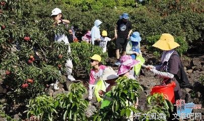 走进“荔枝”村，感受乡村风土人情