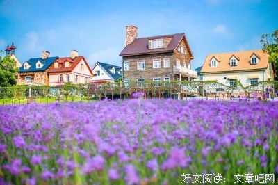 窗边的笑容与花
