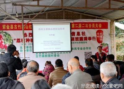 “荔枝+电商”，且看元坝村如何搭上时代发展的快车