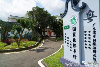 响彻闻名的元坝荔枝