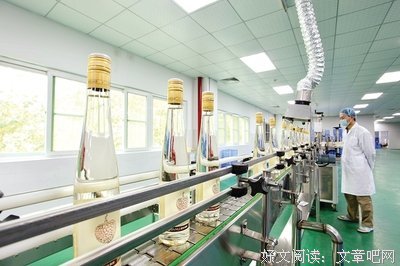一品禅——荔枝产业中的领头羊