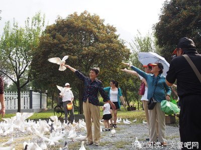 在三下乡中完善自我