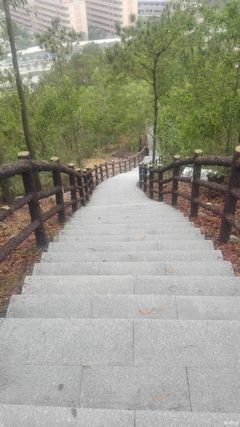 下乡送爱到高州