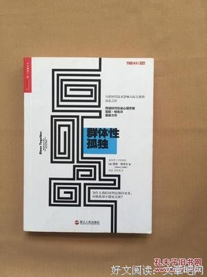 《群体性孤独》读后感
