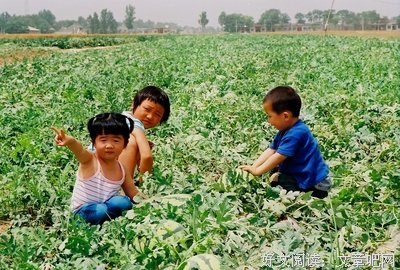 前路漫漫，吾将上下求索