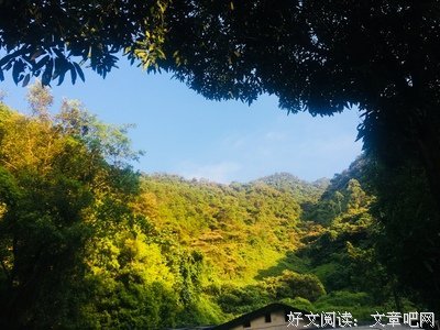 线上三下乡之感