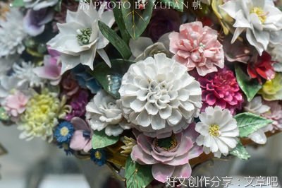 永不凋谢的“小花”