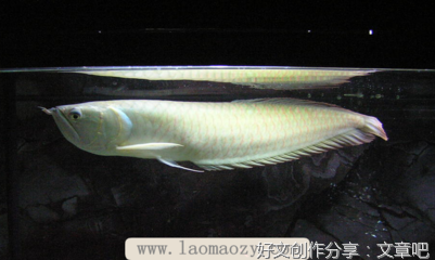 用水设施成摆设