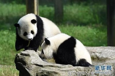 “滚滚”喜提降级 环保任重道远