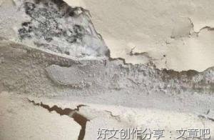 肥胖主题毕设走红之外的疑问：肥胖有原罪吗