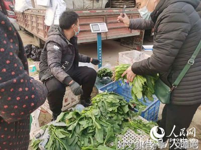 菜价何时“退烧”？农业农村部回应近期蔬菜价格上涨