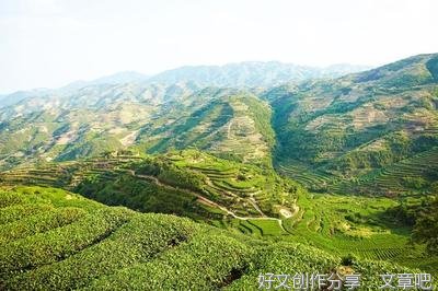 如果现代化是片田，“三牛”耕出了什么