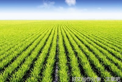 构建新时代的食品安全监管体系