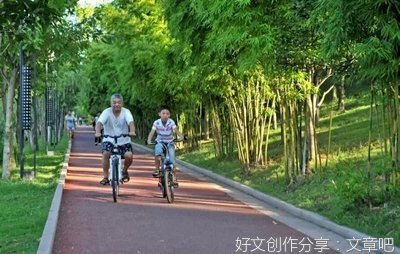 纵深推进依法治理 托举群众的安全感