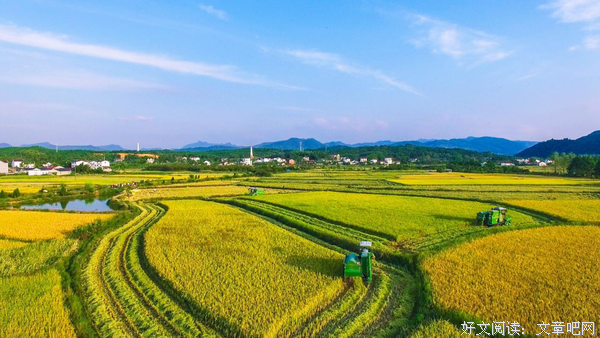 打造三农，助力乡村振兴