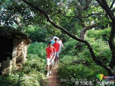 “盛夏启航”三下乡：探索茂名南海旅游岛之旅