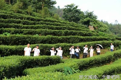 星梦夏约社会实践队调研活动逐步开展