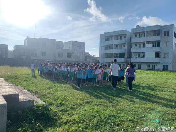 夏花开放，与你相识———“蜂鸣“社会实践队