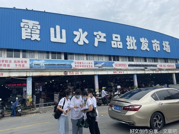 “食遇”社会实践队：接轨于水产市场