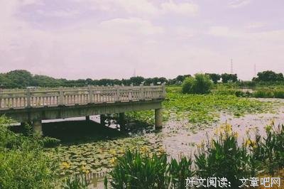 “登塔”社会实践队——崖口云吞
