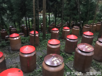 生命的琼浆