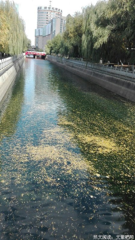 莲动荷香溢醉人