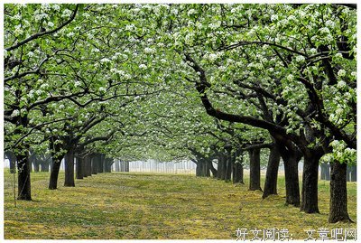 梨园赏春，品雷剧文韵之美｜童梦实践队三下乡雷剧文化研究之旅